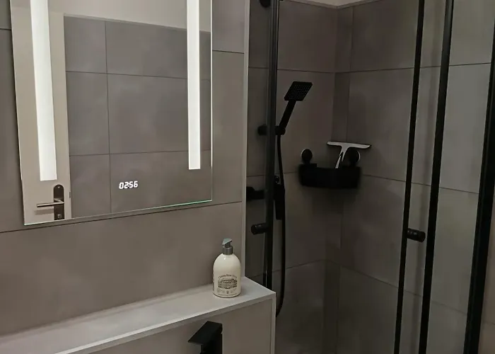 Appartement Business Mit Neuem Bad / Wlan / Smart-tv / Kueche